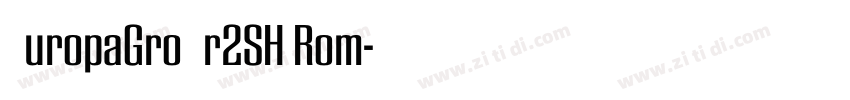 EuropaGroNr2SH Rom字体转换